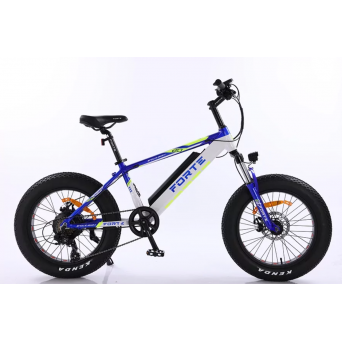 Forte Rider (рама 14"/колеса 20")