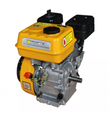 Бензиновый двигатель Forte F210GS-20