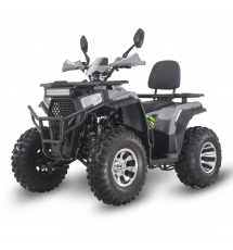 Квадроцикл Forte ATV200G PRO зелёно-серый
