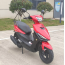 Forte JOG 80CC