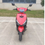 Forte JOG 80CC