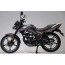 Forte FT200-EN