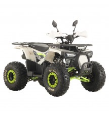 Квадроцикл Spark SP125-9 (заводская упаковка)