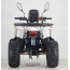 Forte ATV125F