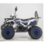 Forte ATV125F