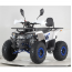 Forte ATV125F