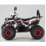 Forte ATV125F