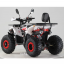 Forte ATV125F