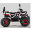 Forte ATV125F