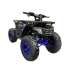 Forte ATV125F