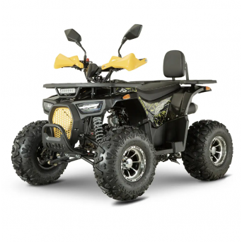 Forte ATV150P