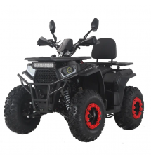 Квадроцикл Forte ATV200G PRO красно-черный