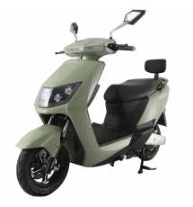 Скутер электрический Forte T3 зеленый