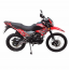 Forte Cross 250 Pro