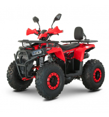 Квадроцикл Forte AFN125 PRO красный