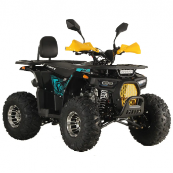 Forte ATV125P
