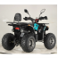 Forte ATV125P