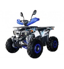 Квадроцикл Forte ATV125L