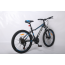 Forte Warrior (рама 13"/колеса 24")