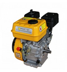 Двигатель бензиновый Forte F210GT-25