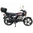 Forte ALFA FT125-2