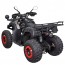 Квадроцикл Spark SP200-1