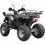 Квадроцикл Spark SP175-1