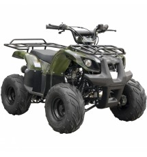 Квадроцикл Spark SP110-3 (заводская упаковка)