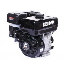 Дизельный двигатель Bizon 190N