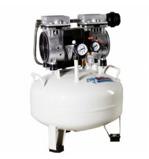 Компрессор безмасляный Dolphin DZW550AF015V