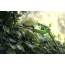 Greenworks G24PH51