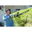 Ryobi RTH25X60RO