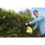 Ryobi RTH25X60RO