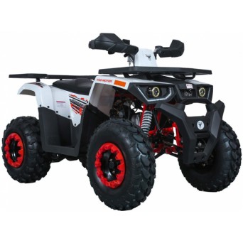 Forte Braves 200