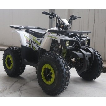 Forte Hunter 125