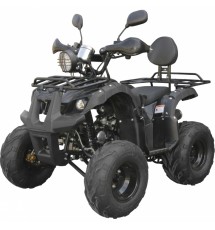 Квадроцикл Spark SP125-5