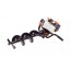NAC EAP52-295-T