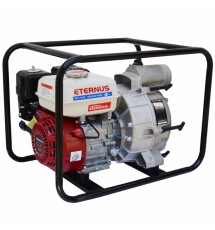 Мотопомпа для грязной воды Eternus WH30S