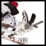 Einhell TE-CS 18/165 Li-Solo