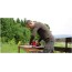 Einhell TE-RS 40 E