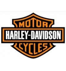Harley-Davidson