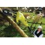 Ryobi RPP755E