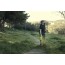 Greenworks G40ABK2